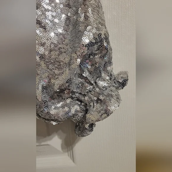 Silver Sequin Dress - Picture 5 of 5